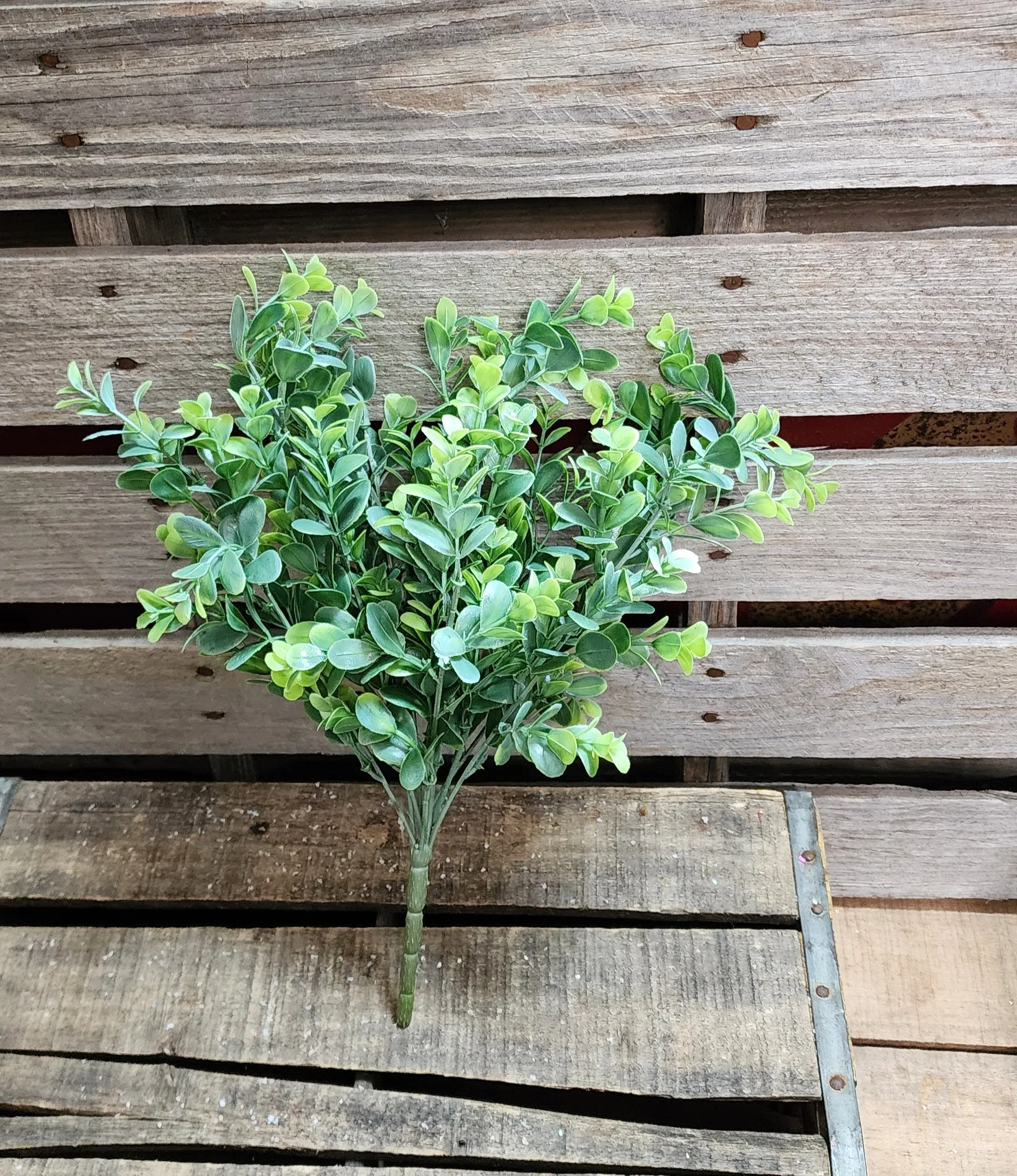 15" PVC Boxwood Bush