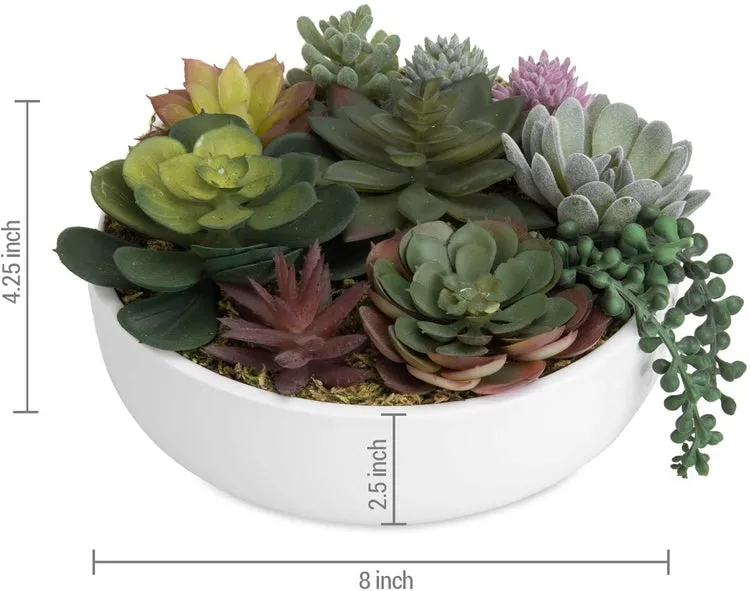 8-Inch Modern Assorted Artificial Succulent Plants with White Round Ceramic Plant Pot