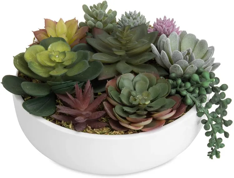 8-Inch Modern Assorted Artificial Succulent Plants with White Round Ceramic Plant Pot