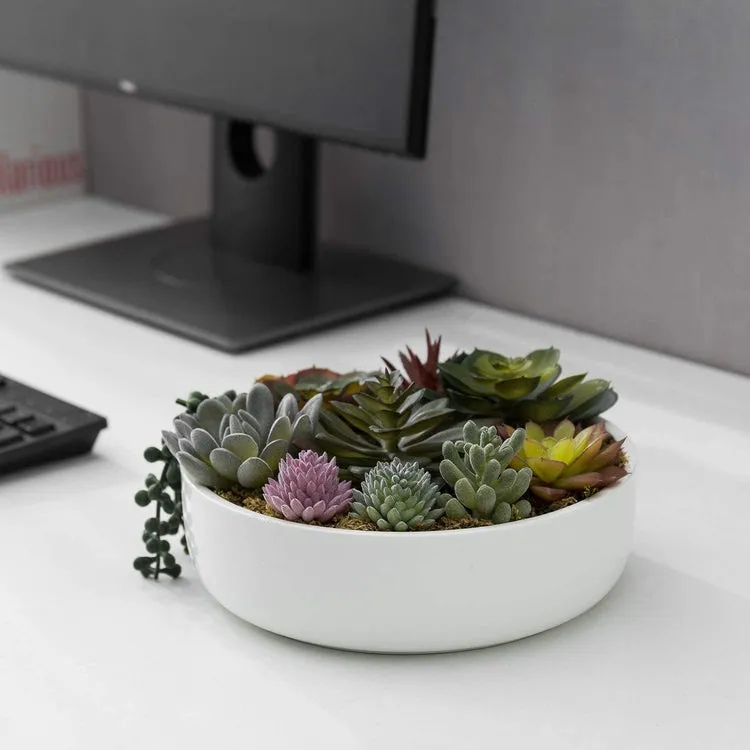 8-Inch Modern Assorted Artificial Succulent Plants with White Round Ceramic Plant Pot