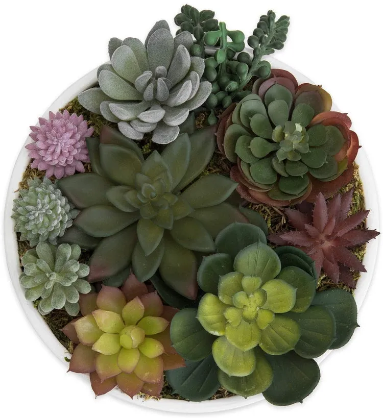 8-Inch Modern Assorted Artificial Succulent Plants with White Round Ceramic Plant Pot