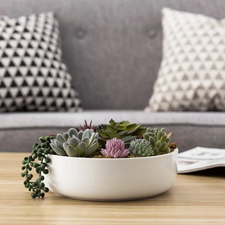 8-Inch Modern Assorted Artificial Succulent Plants with White Round Ceramic Plant Pot