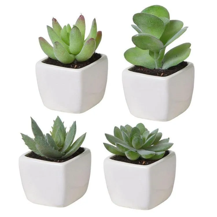Artificial Succulents in White Square Pots, Set of 4