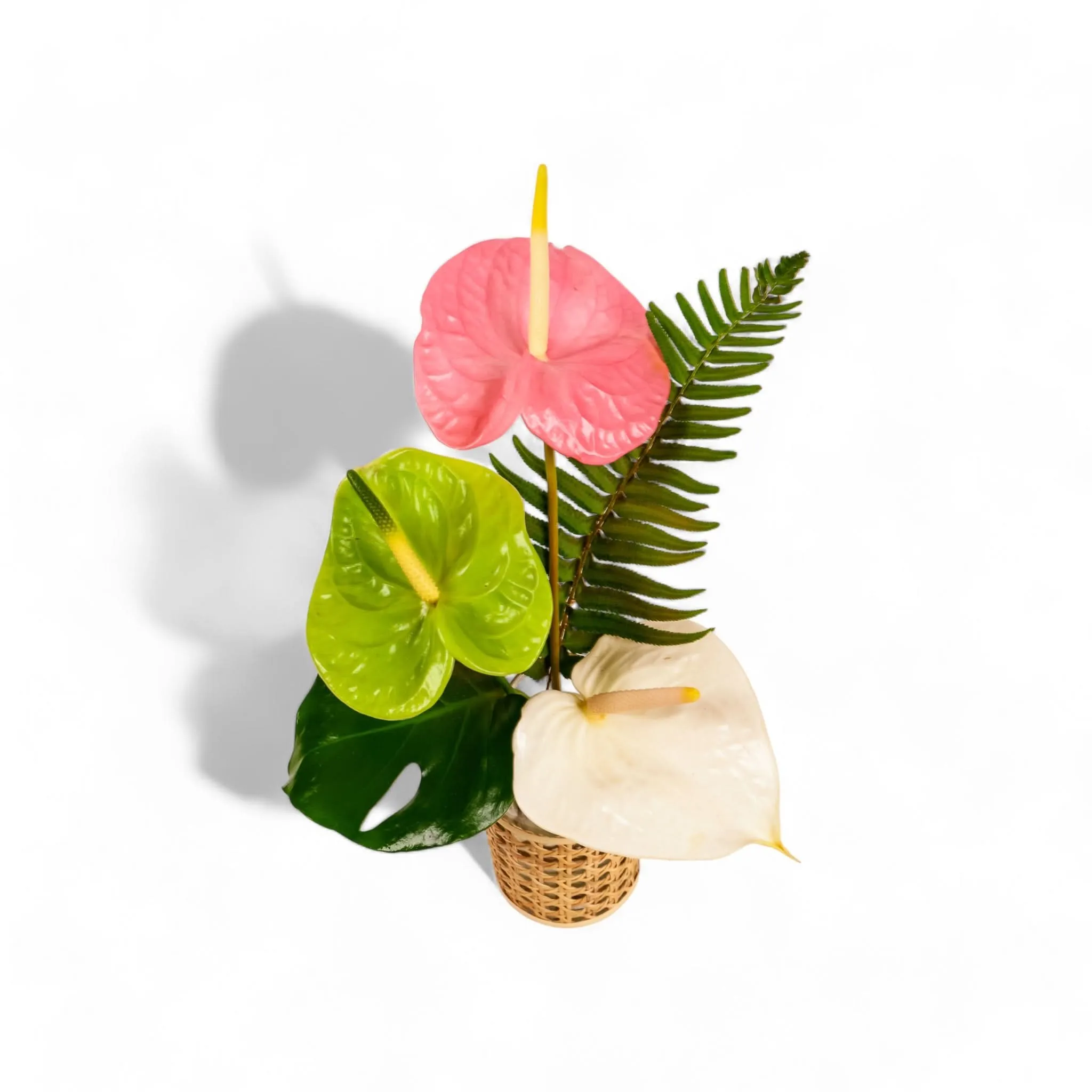 Bit O' Paradise