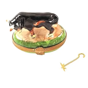 Bull Cow w Branding rod
