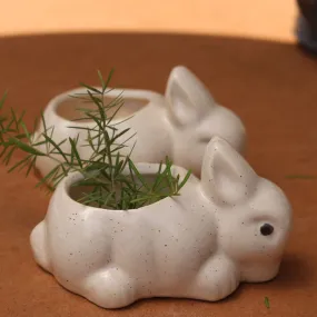 Bunny & Turtle Race Planter - Set Of Two