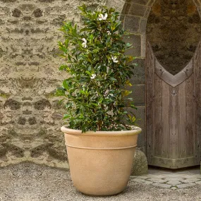 Carema Planter, Extra Large Campania International