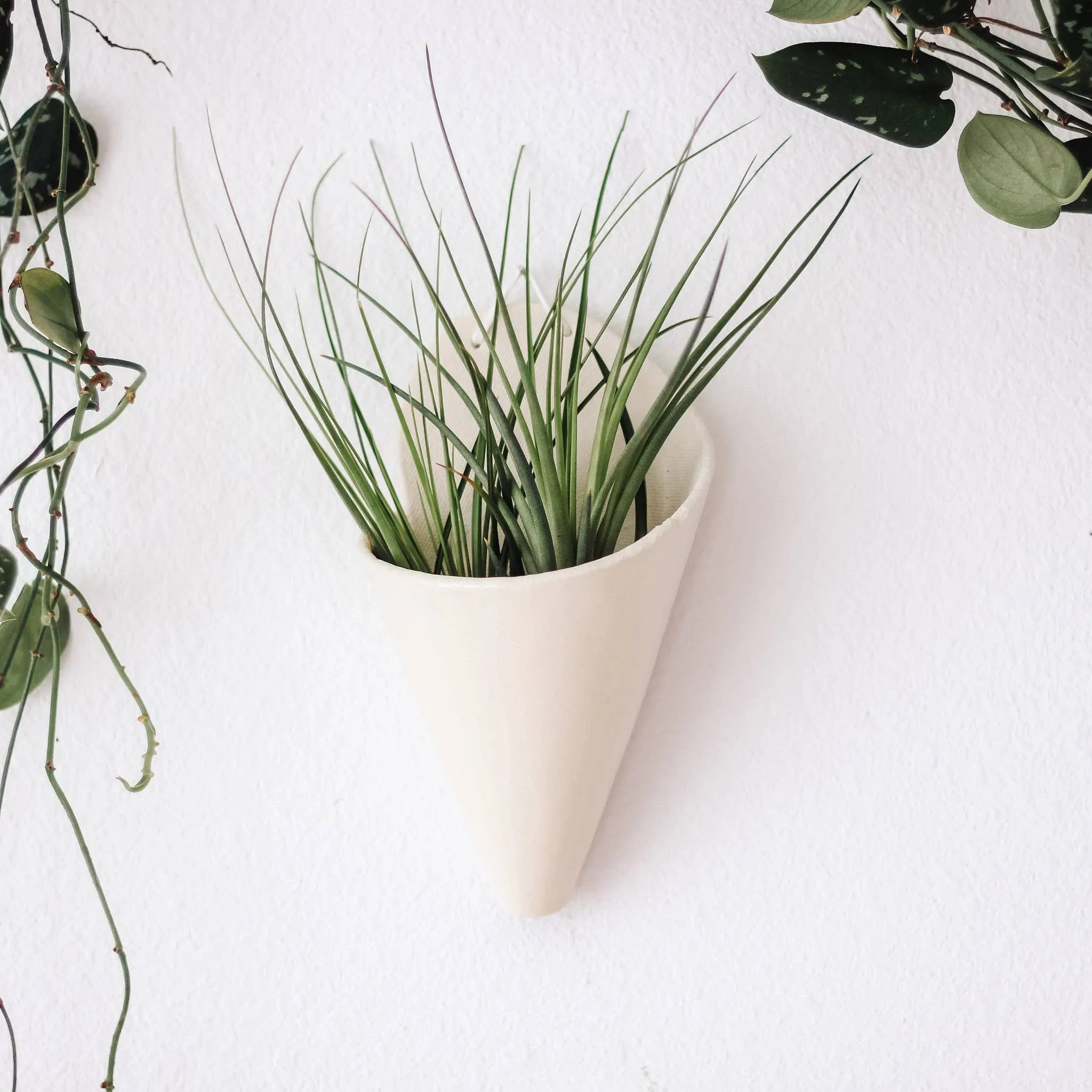 Ceramic Cone Wall Planters (No-Plant Multiple Colors)