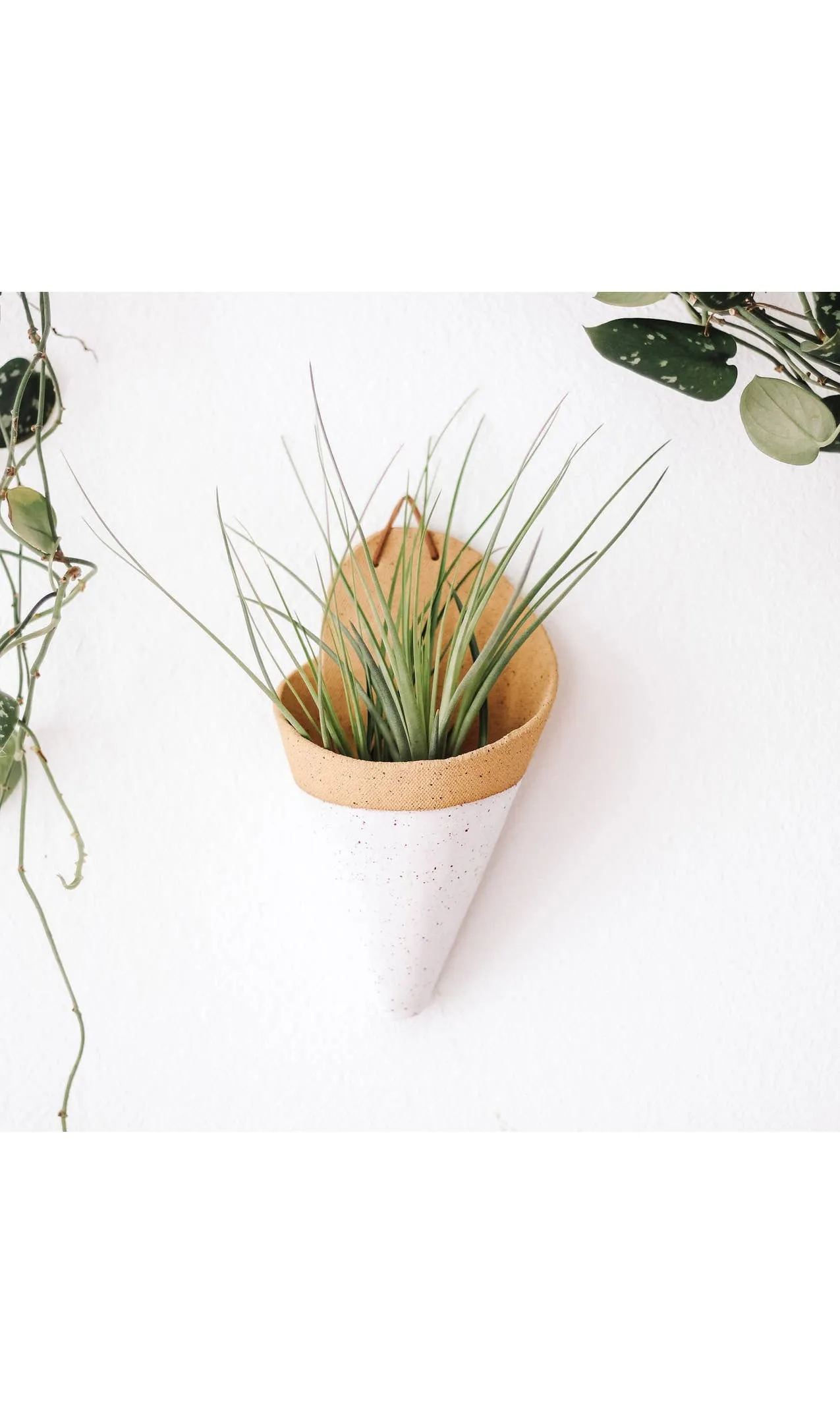 Ceramic Cone Wall Planters (No-Plant Multiple Colors)