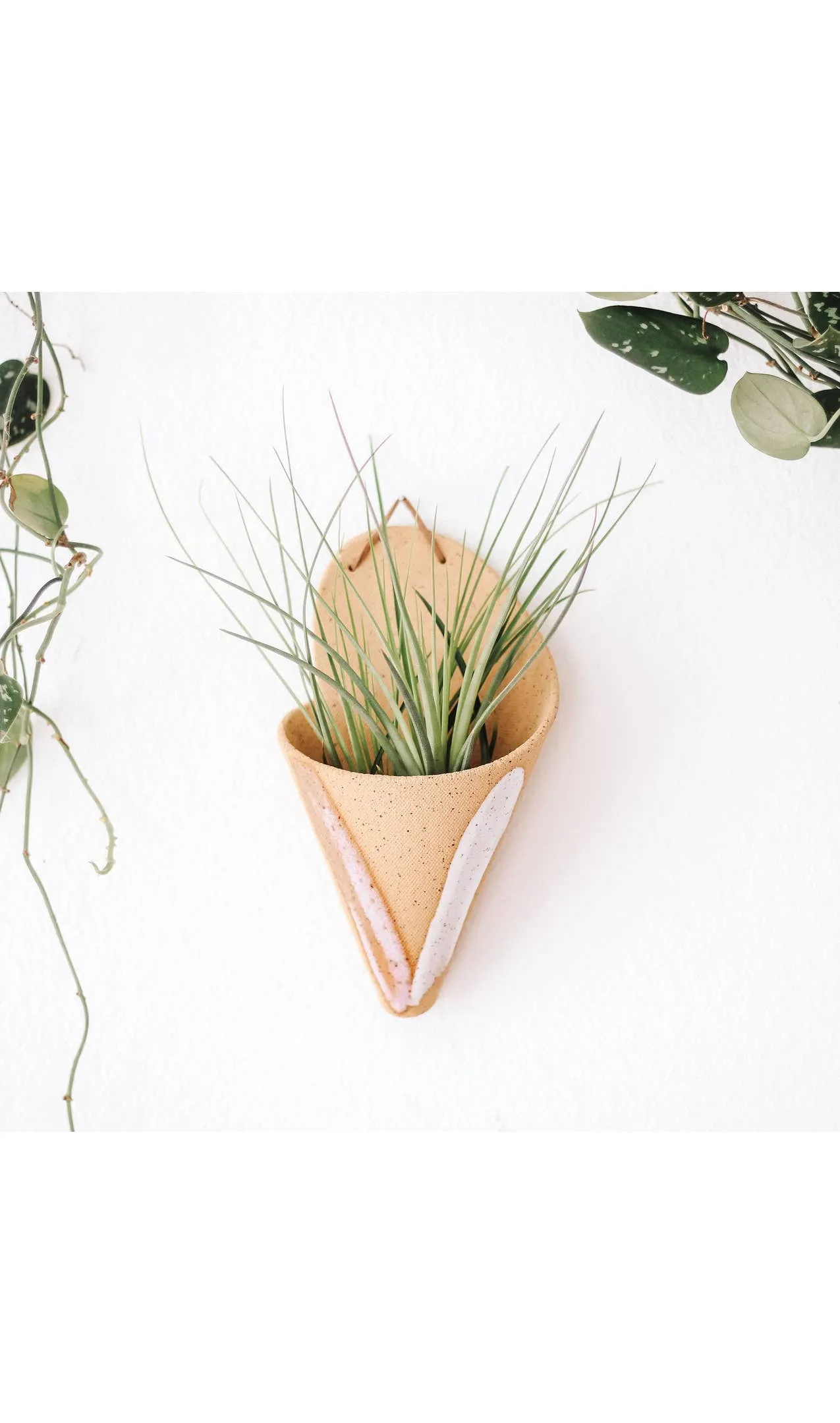 Ceramic Cone Wall Planters (No-Plant Multiple Colors)