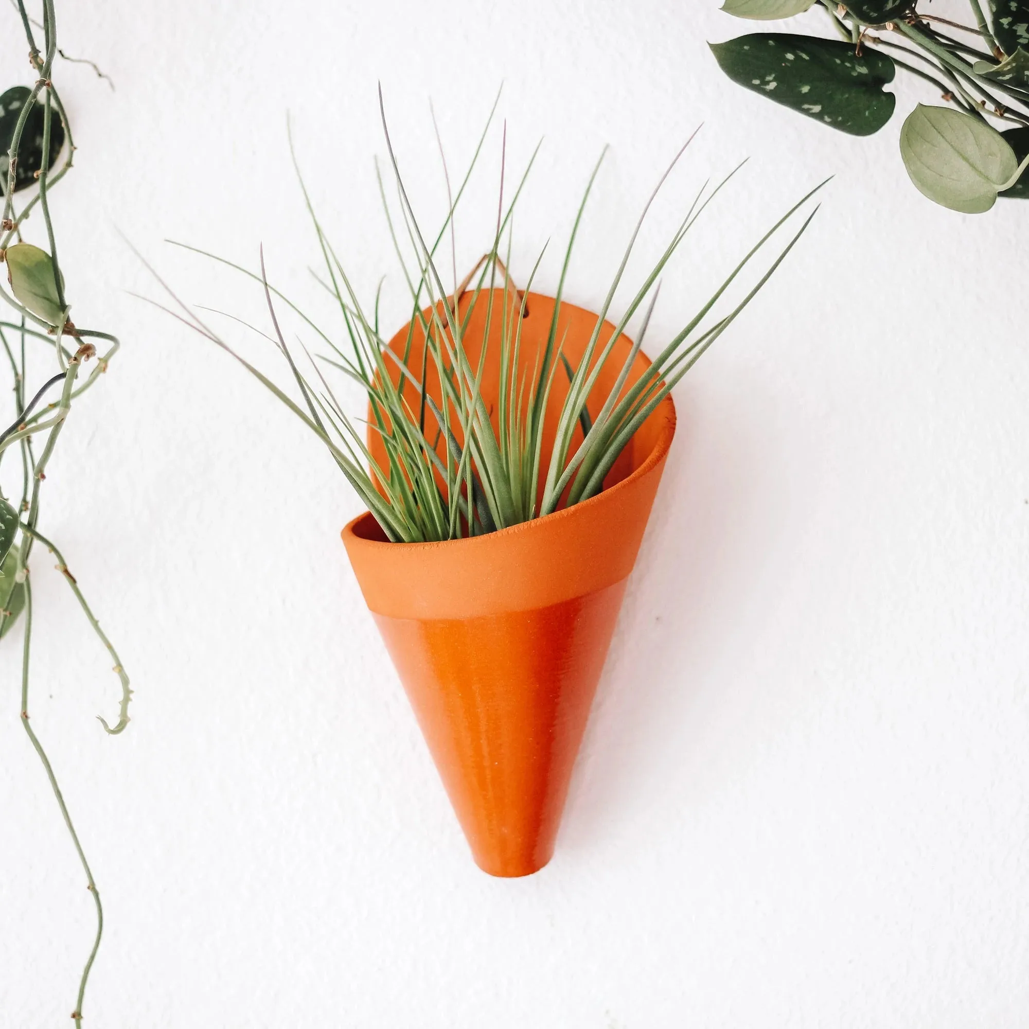 Ceramic Cone Wall Planters (No-Plant Multiple Colors)