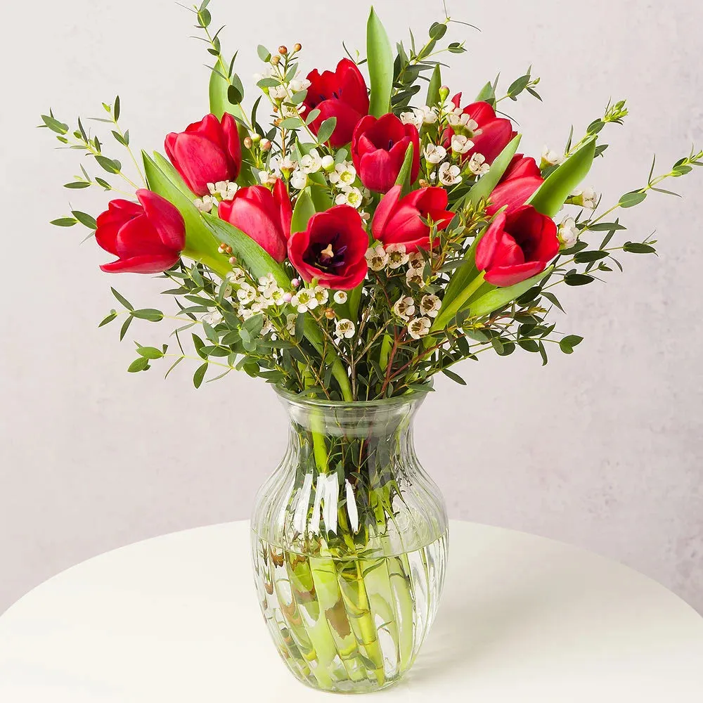 Christmas Tulips