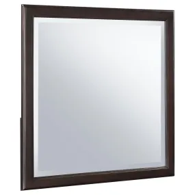 Coaster Furniture Emberlyn 223064 Dresser Mirror - Brown