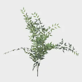 Decorative Italian Ruscus - 47"