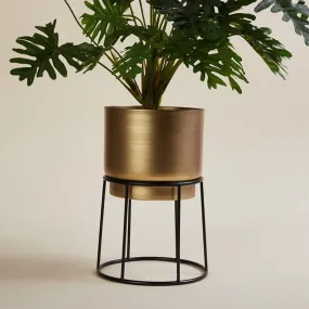 Elsa Gols Planter With Stand