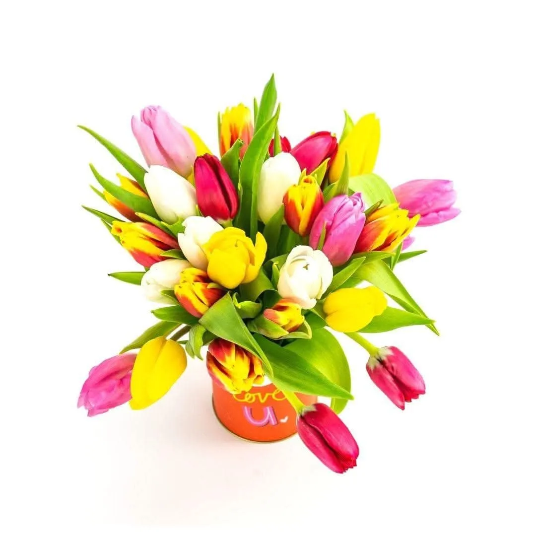 Eye Love U Tulips