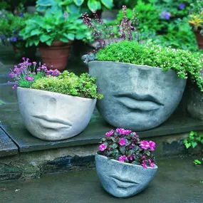 Faccia Planter, Small Campania International