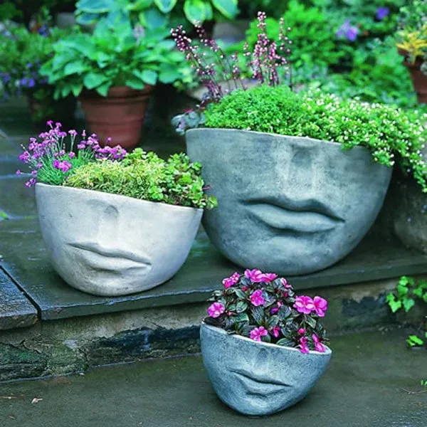 Faccia Planter, Small Campania International
