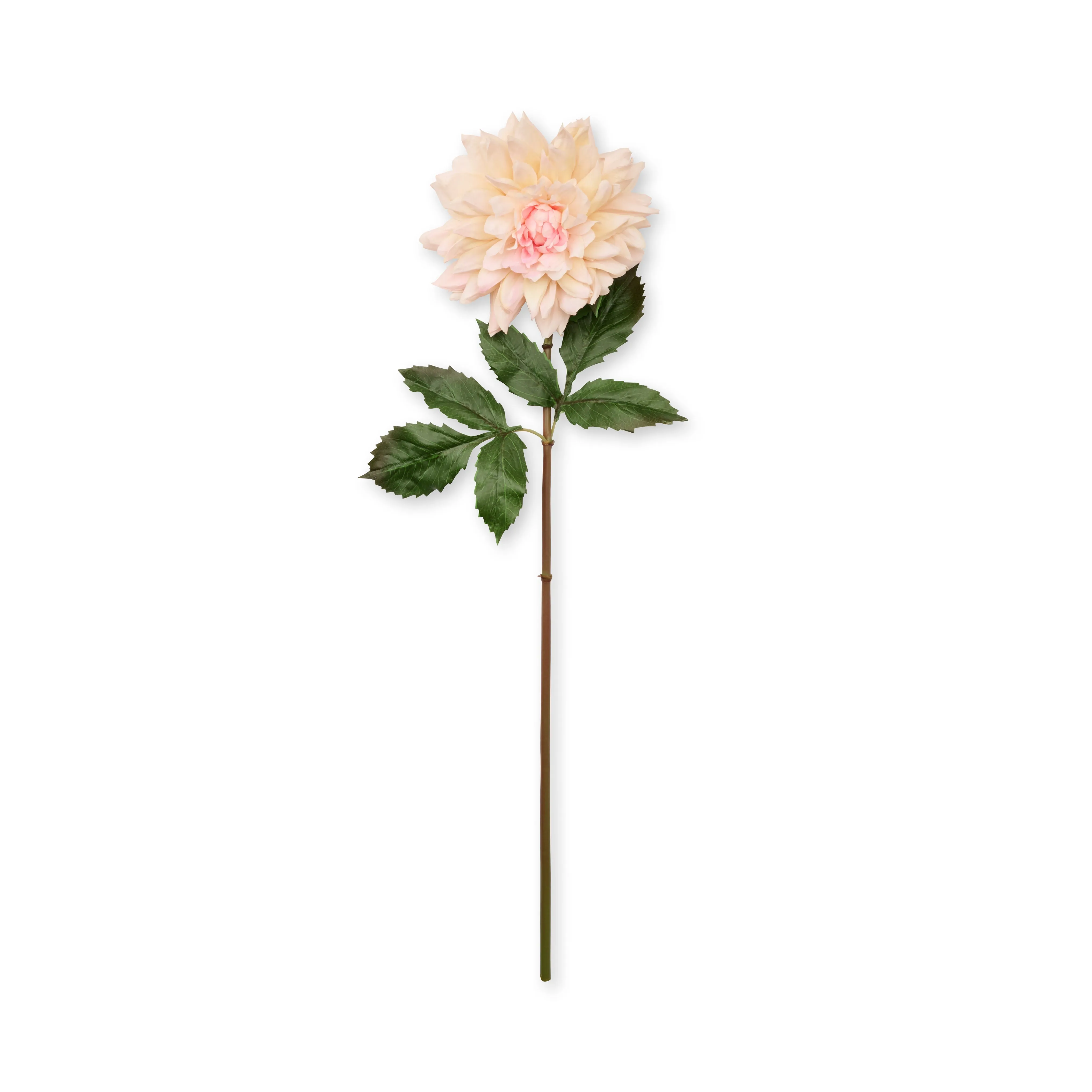 Faux Dahlia - Café Au Lait