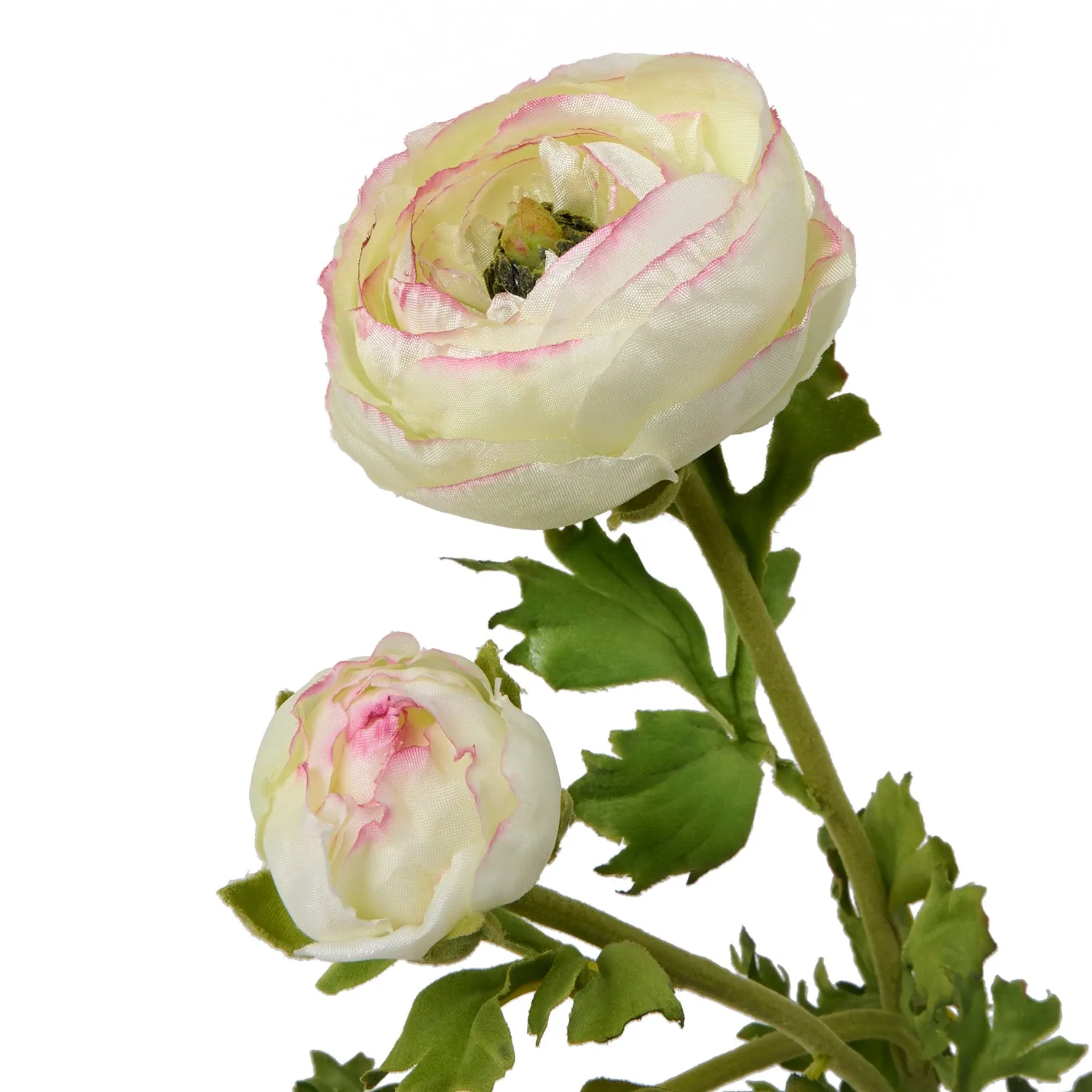 Faux Green Ranunculus