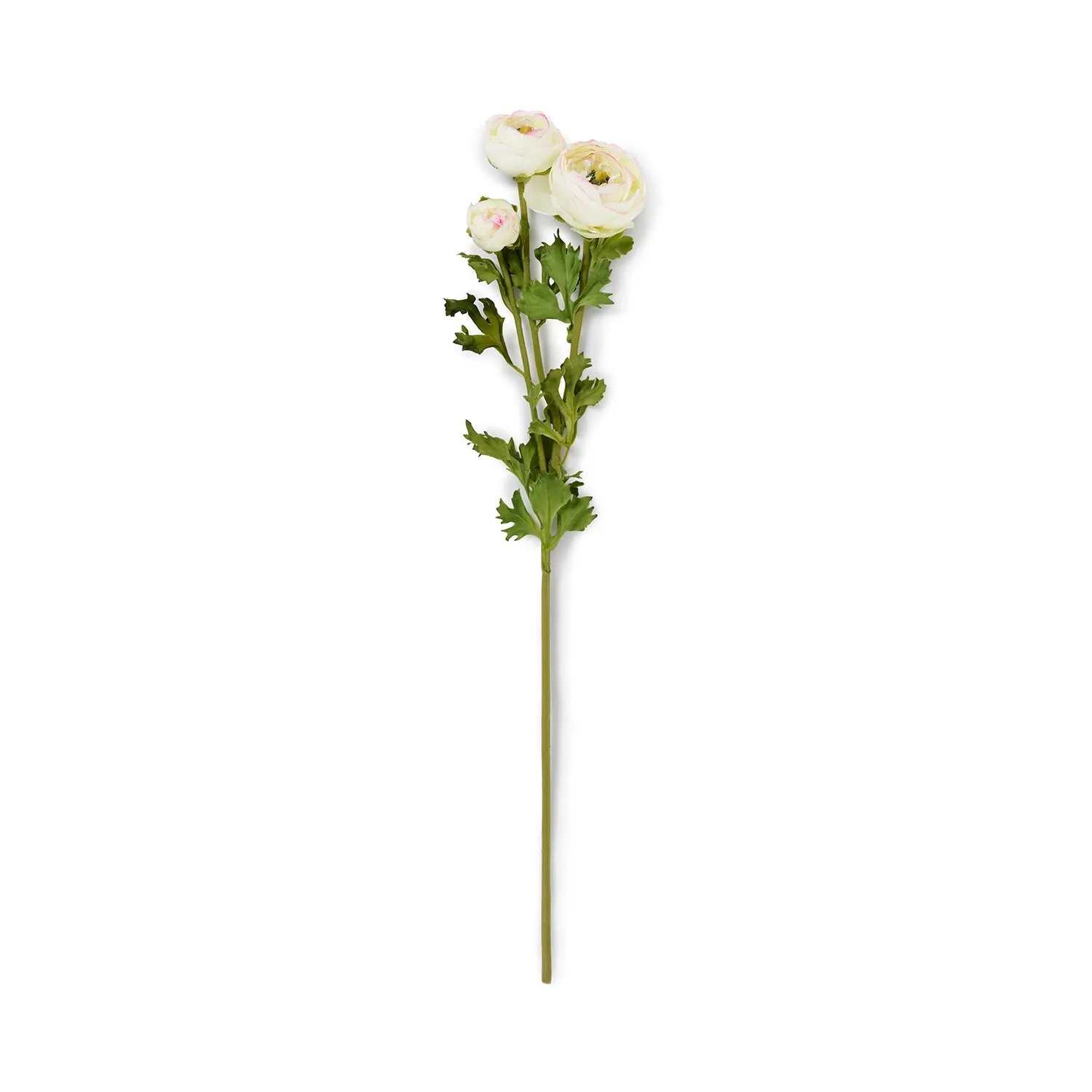 Faux Green Ranunculus