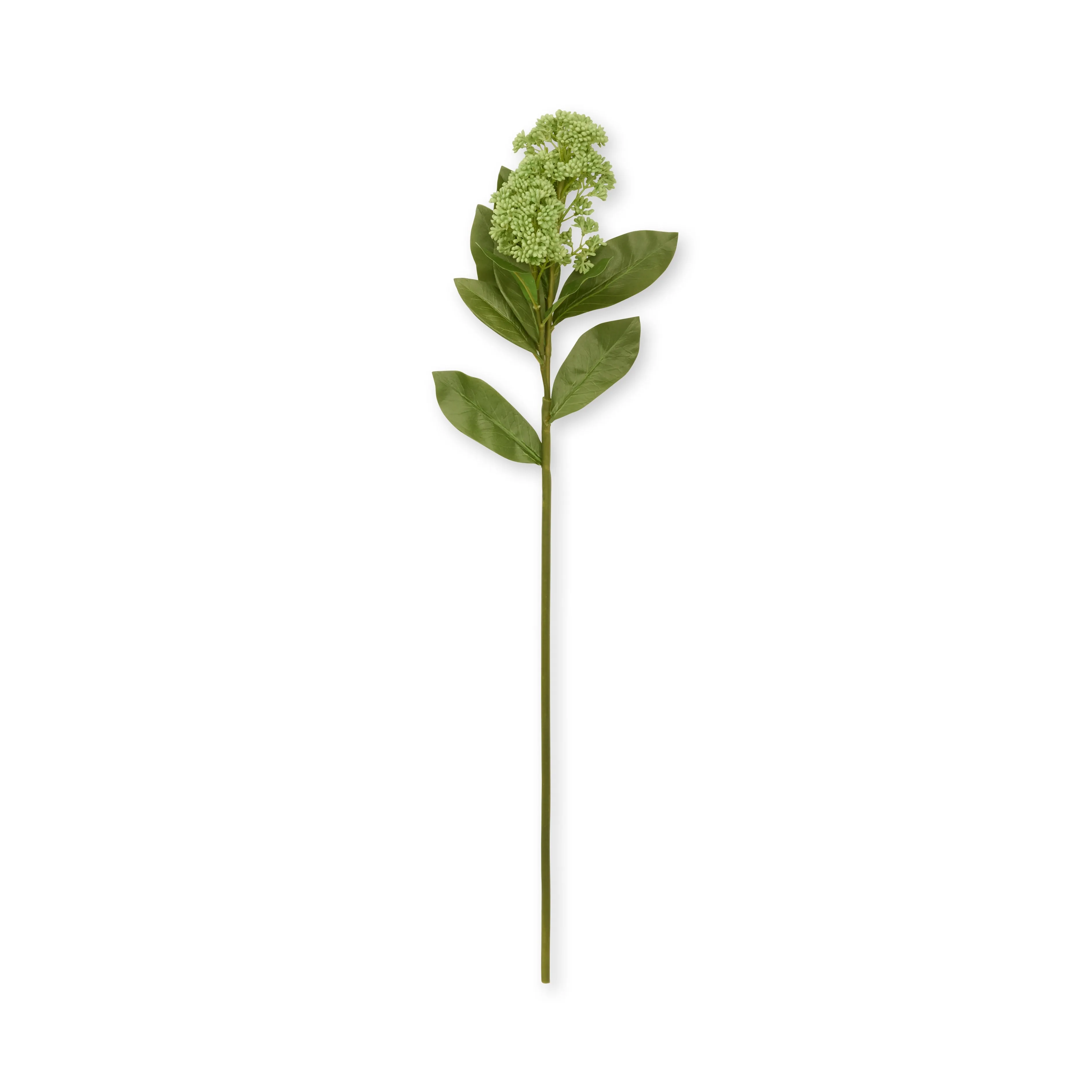 Faux Skimmia - Green