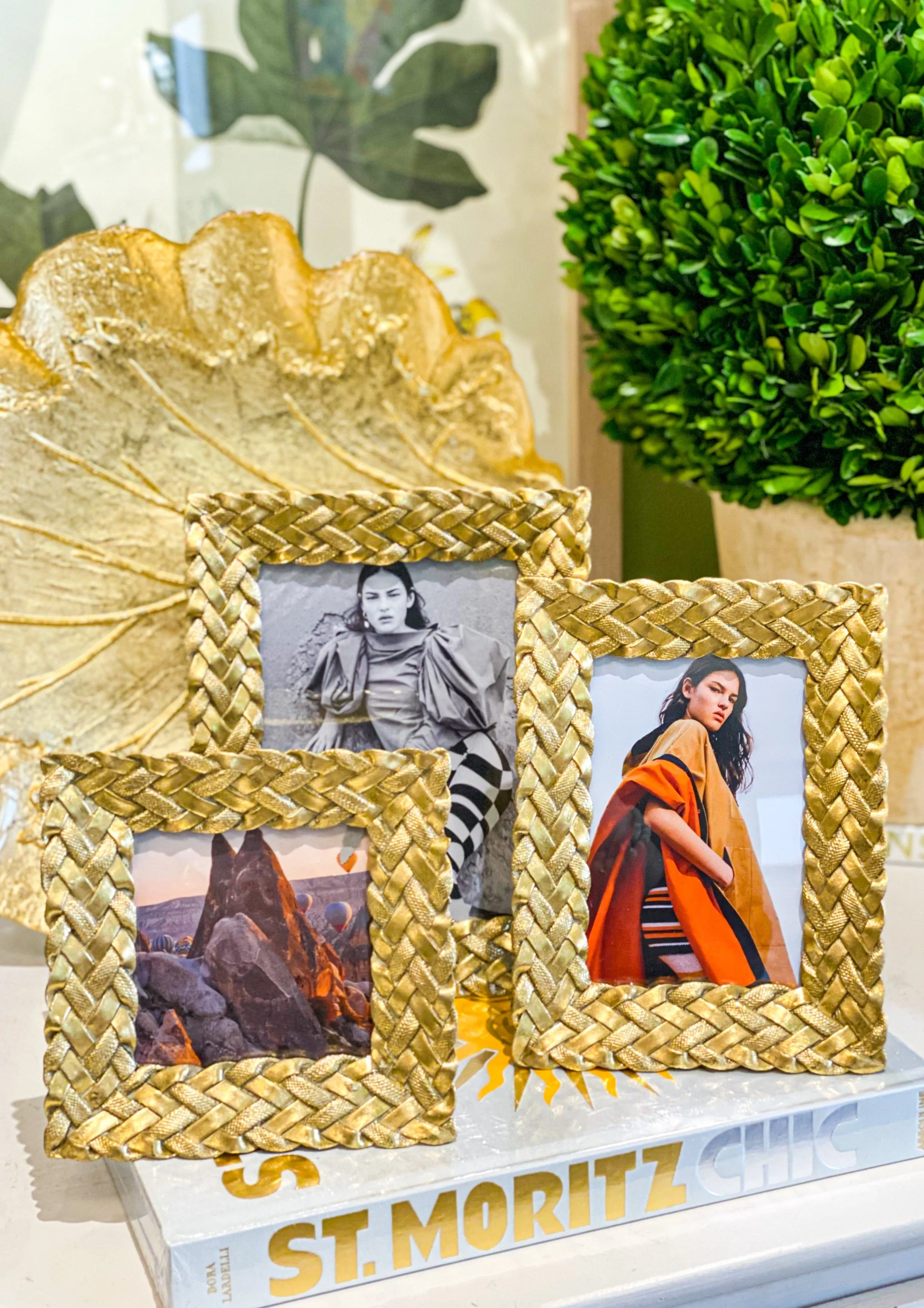 Gold Braided Frames