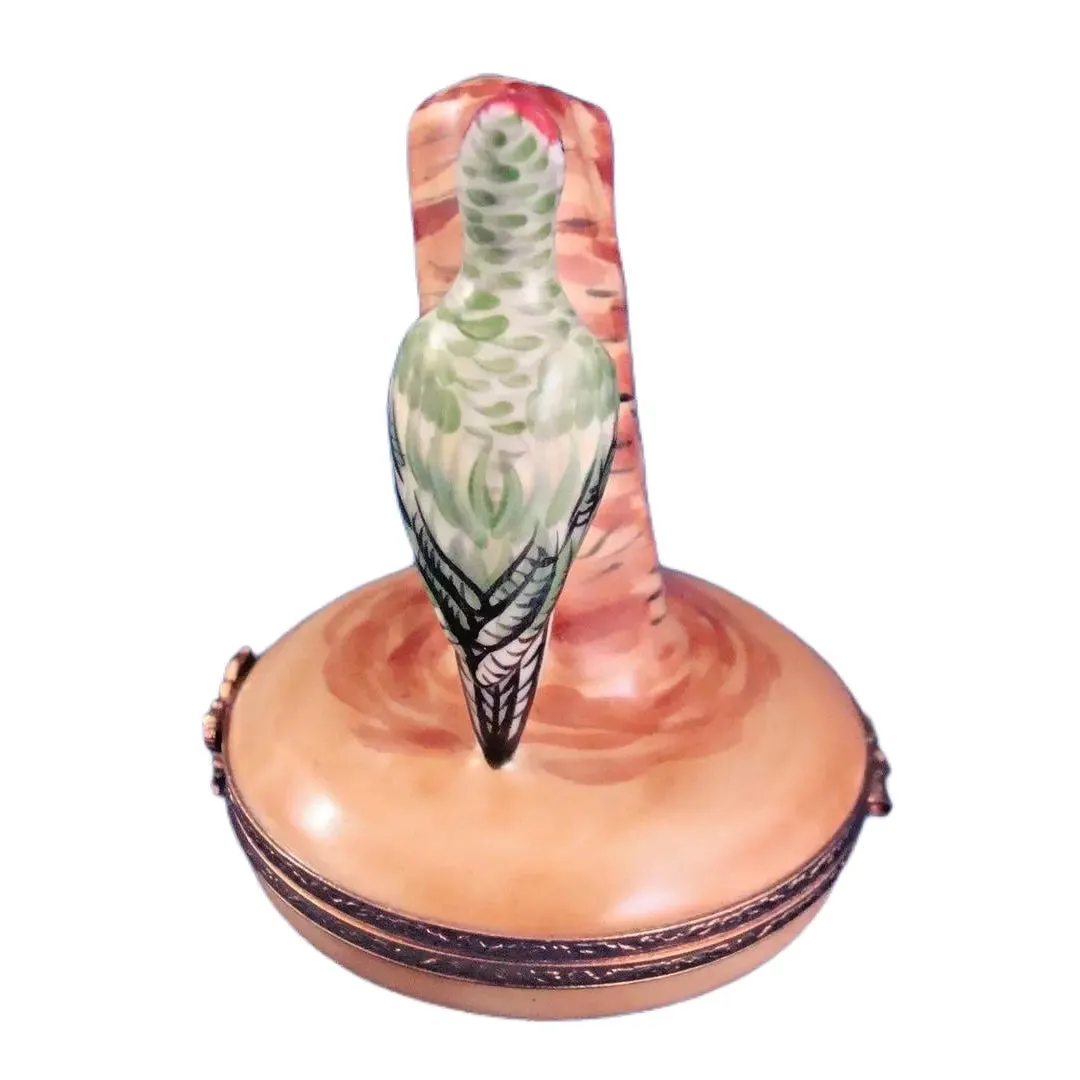 Green Woodpecker