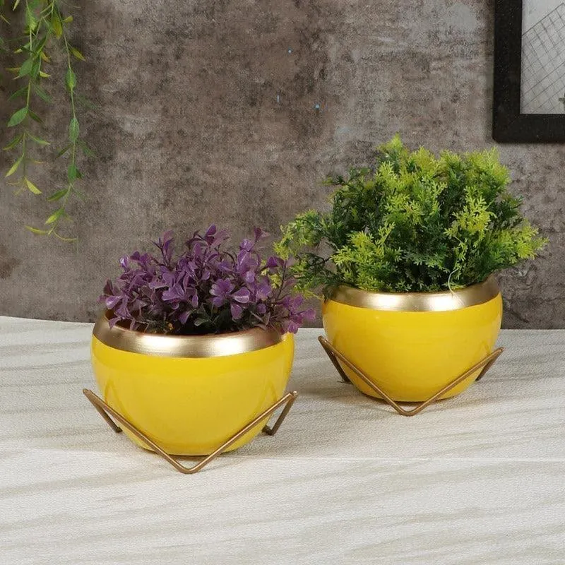 Guja Apple Planter (Yellow) - Set Of Two
