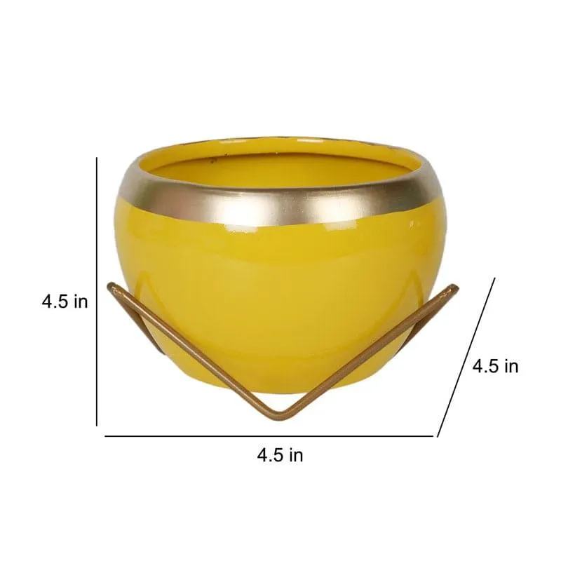 Guja Apple Planter (Yellow) - Set Of Two