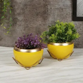 Guja Apple Planter (Yellow) - Set Of Two
