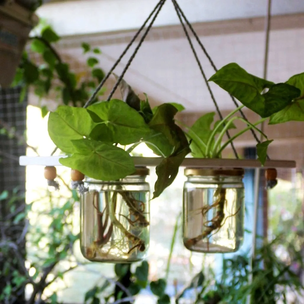Hanging Planter - Set of 2 Jar Planter - For Indoor and Outdoor Home Decoration