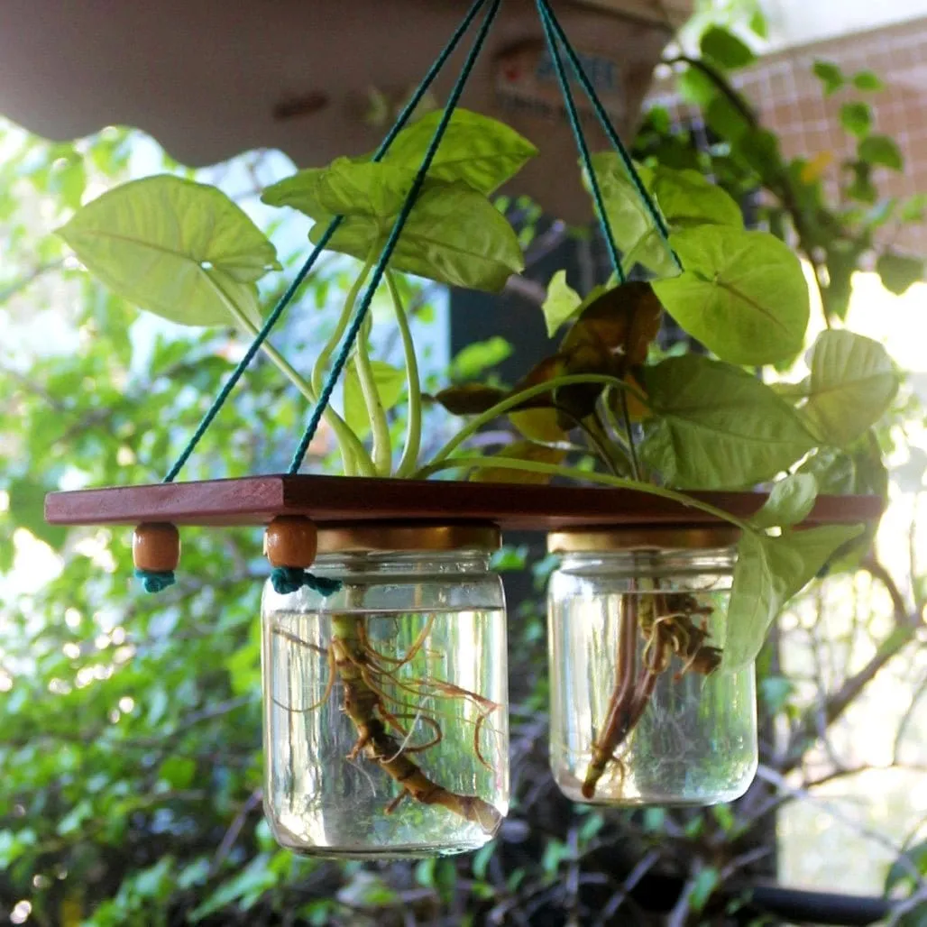 Hanging Planter - Set of 2 Jar Planter - For Indoor and Outdoor Home Decoration