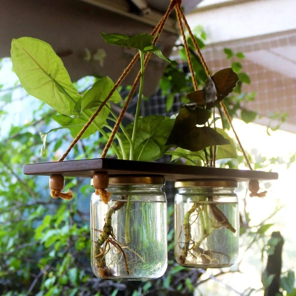 Hanging Planter - Set of 2 Jar Planter - For Indoor and Outdoor Home Decoration