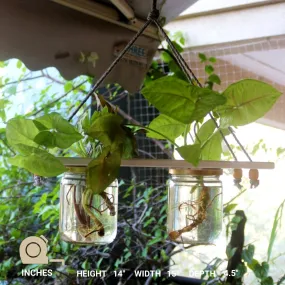 Hanging Planter - Set of 2 Jar Planter - For Indoor and Outdoor Home Decoration