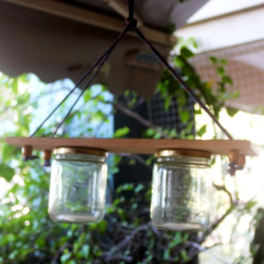 Hanging Planter - Set of 2 Jar Planter - For Indoor and Outdoor Home Decoration