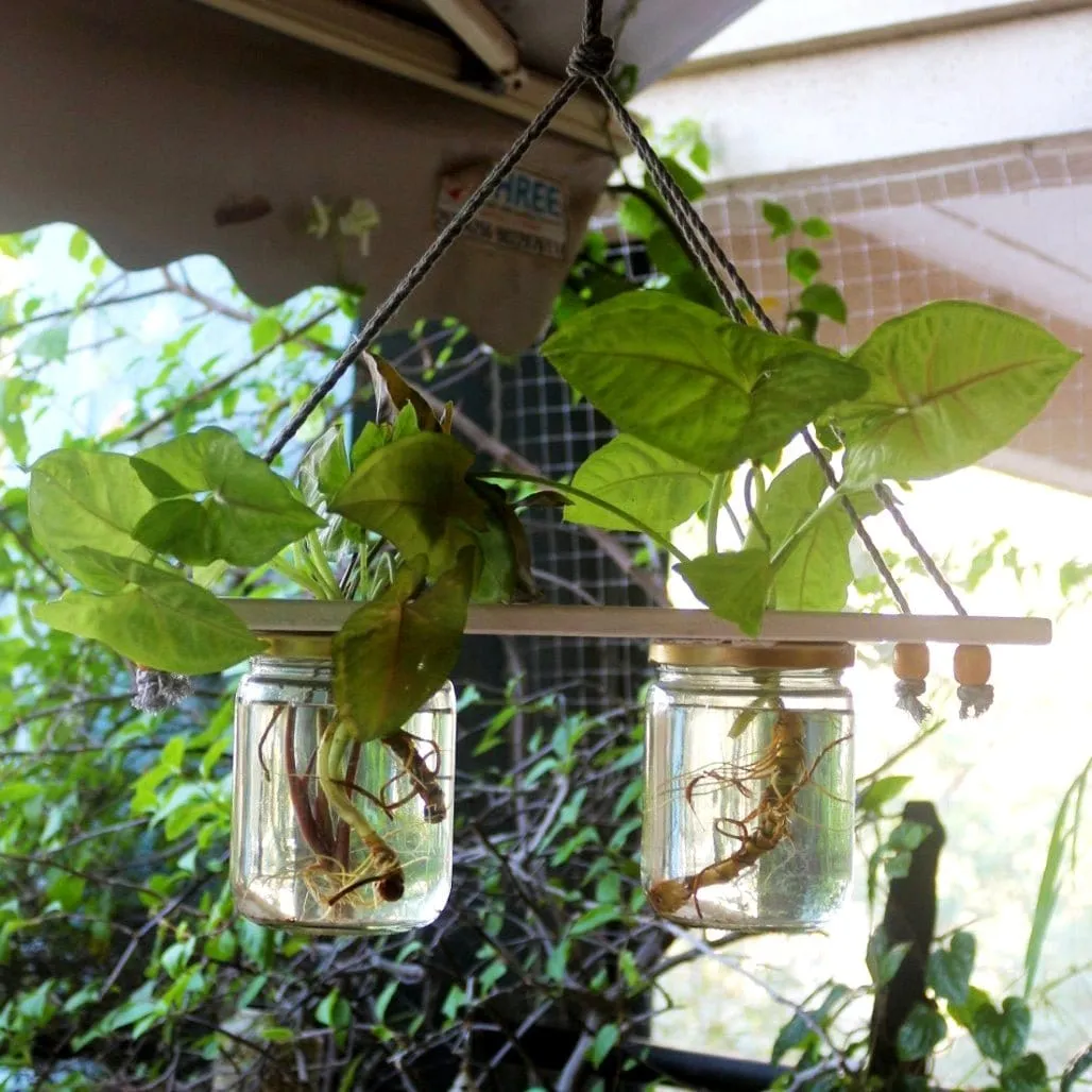Hanging Planter - Set of 2 Jar Planter - For Indoor and Outdoor Home Decoration