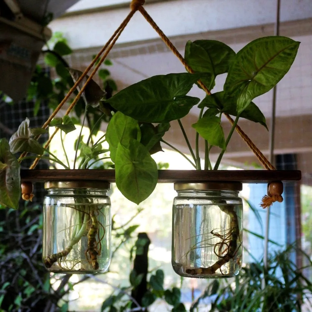 Hanging Planter - Set of 2 Jar Planter - For Indoor and Outdoor Home Decoration