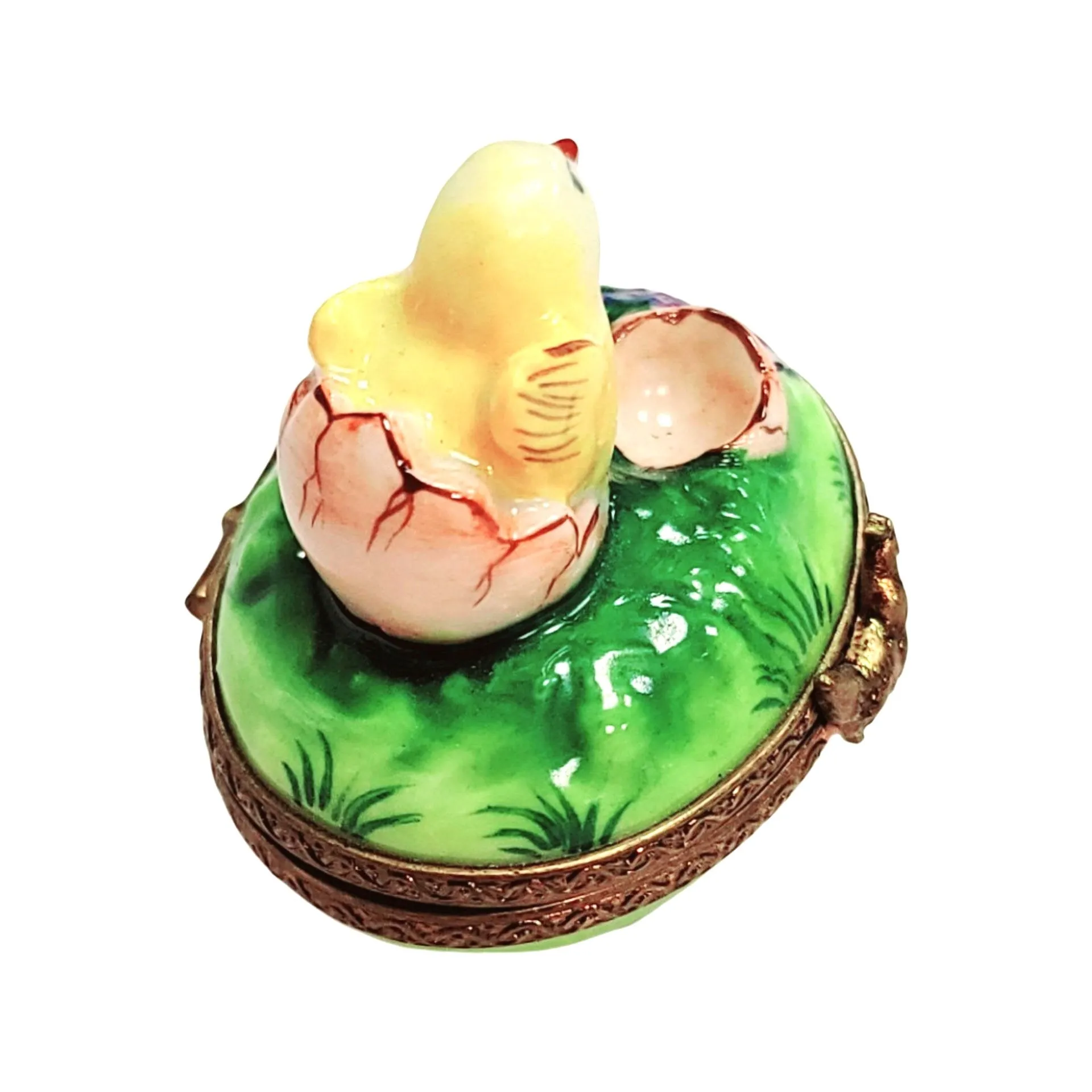Lil Chick Hatching