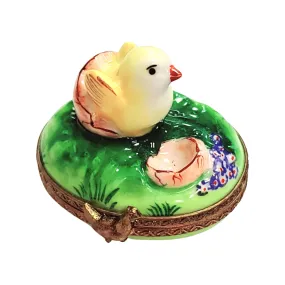Lil Chick Hatching