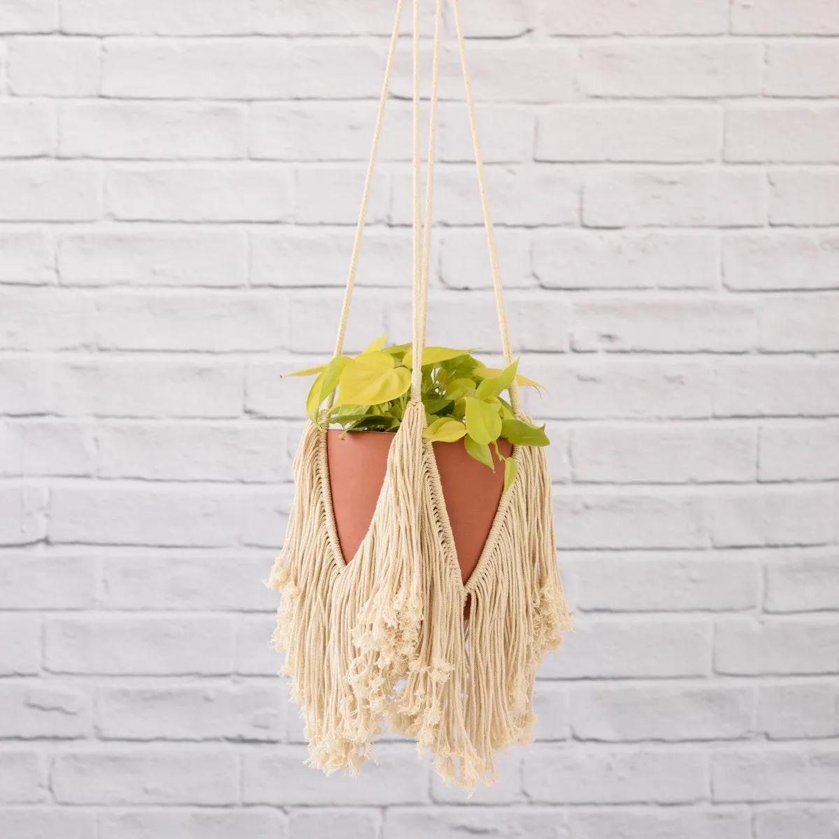 Macrame - Tassels - LARGE