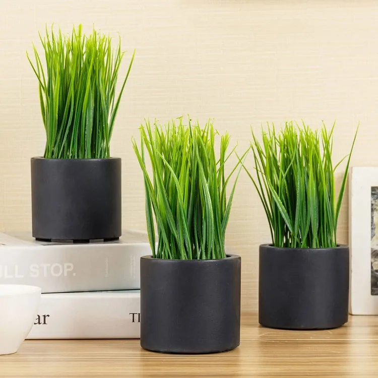 Mini Faux Grass Potted Plants, Decorative Artificial Wheatgrass in Cylindrical Round Black Concrete Planters, Set of 3