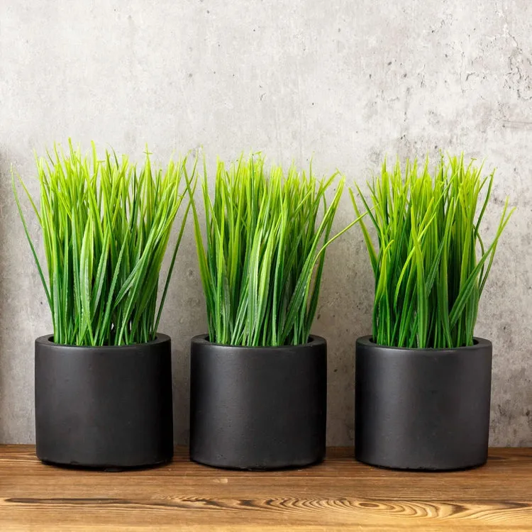 Mini Faux Grass Potted Plants, Decorative Artificial Wheatgrass in Cylindrical Round Black Concrete Planters, Set of 3