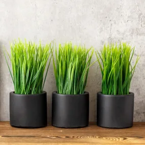 Mini Faux Grass Potted Plants, Decorative Artificial Wheatgrass in Cylindrical Round Black Concrete Planters, Set of 3