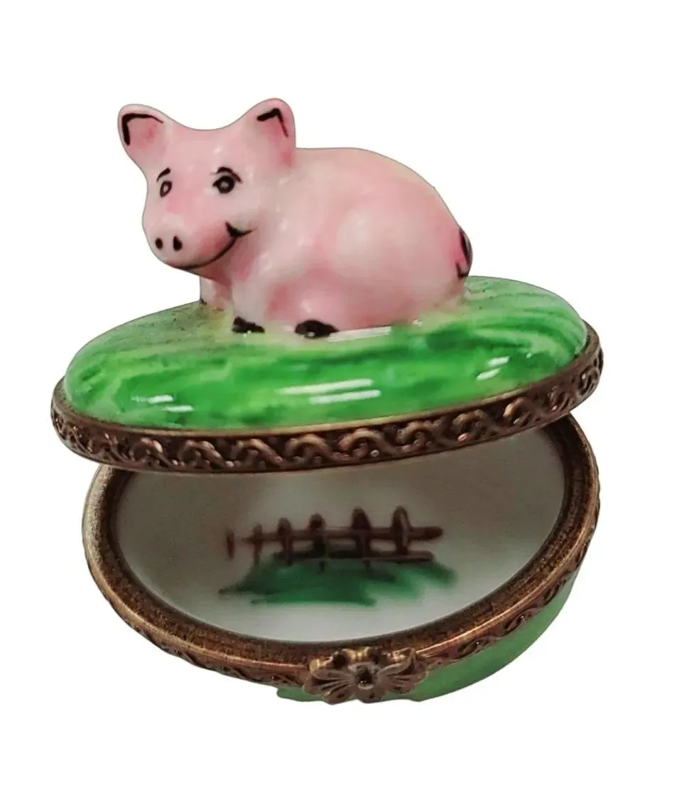 Mini Pig