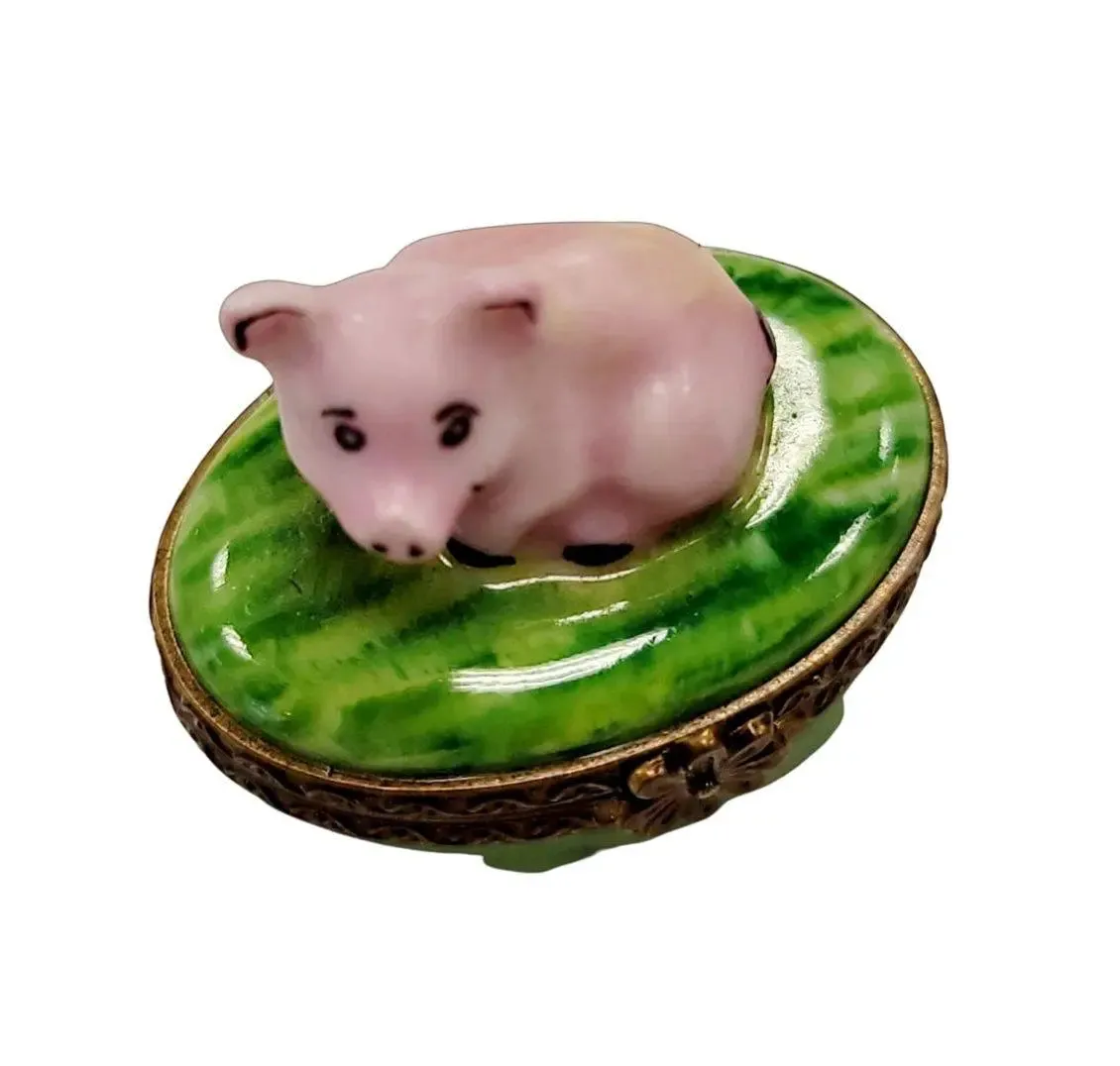 Mini Pig