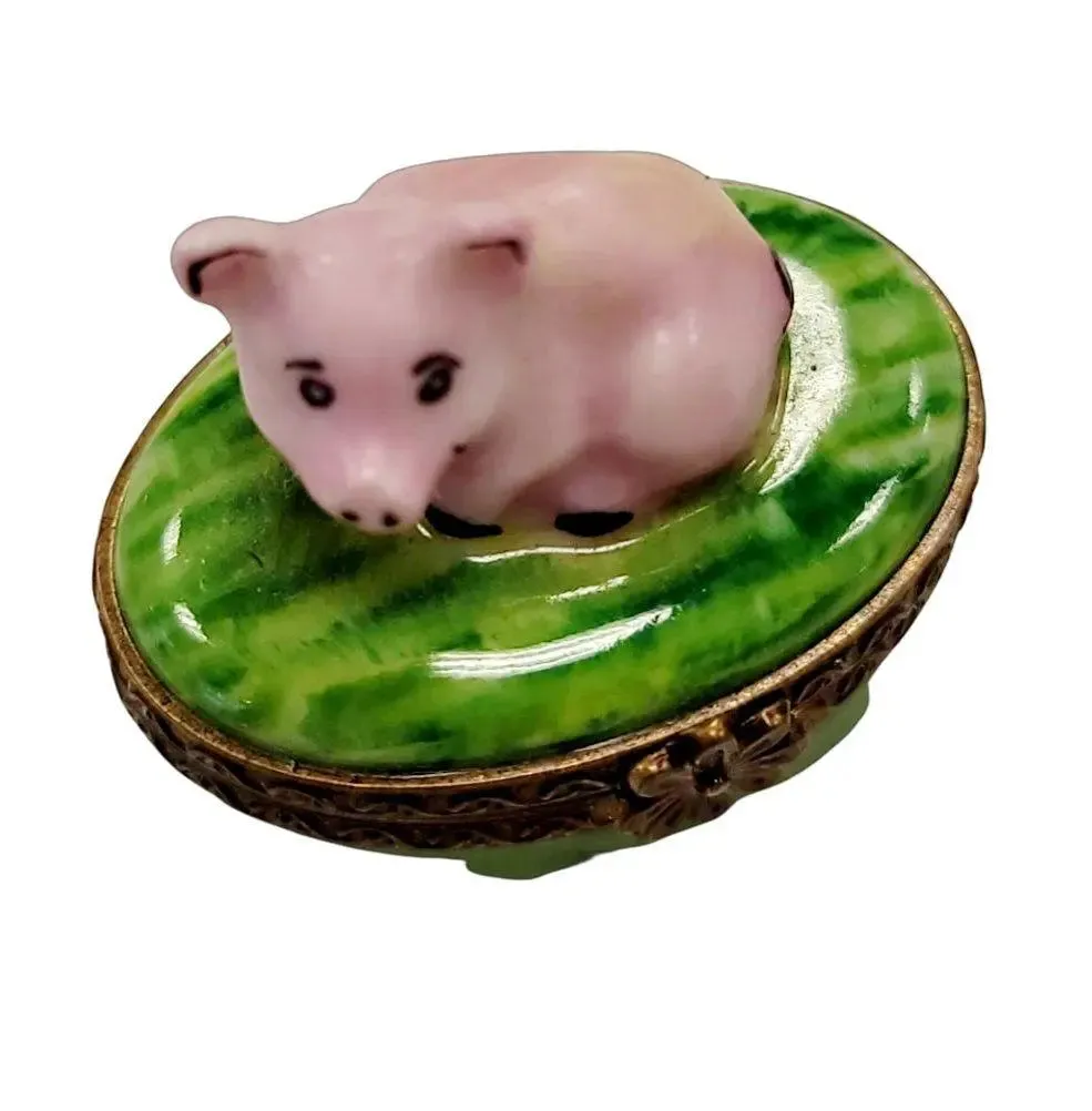 Mini Pig
