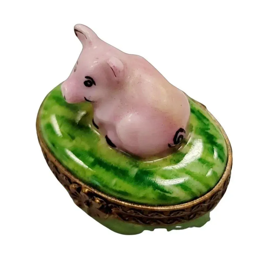 Mini Pig