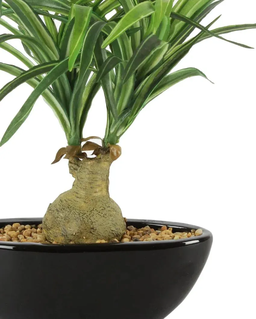 Nolina Artificial Bonsai Plant with Ceramic Pot | 11 inches