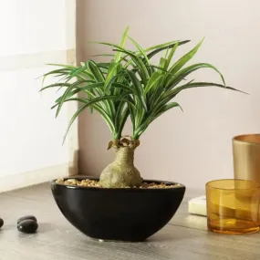 Nolina Artificial Bonsai Plant with Ceramic Pot | 11 inches